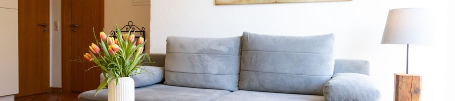 Strandläufer * App. 1